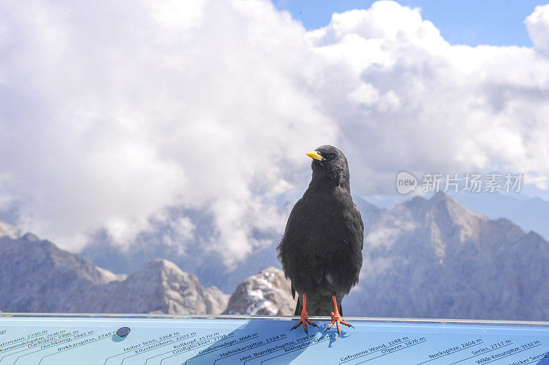 德国Garmisch-Partenkirchen Zugspitze峰会